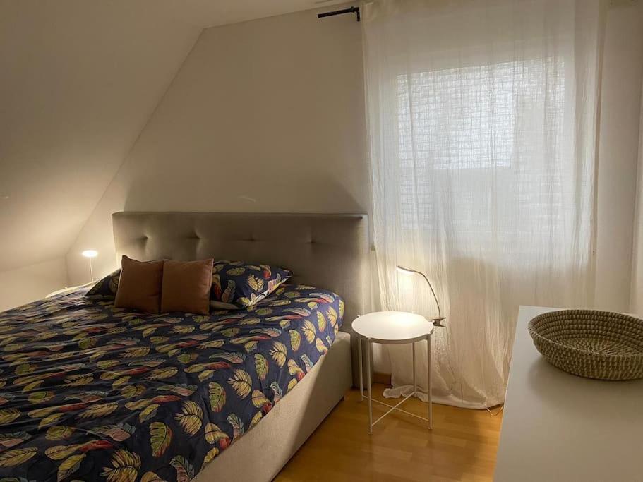 Bel Appartement En Centre Alsace Kintzheim Εξωτερικό φωτογραφία