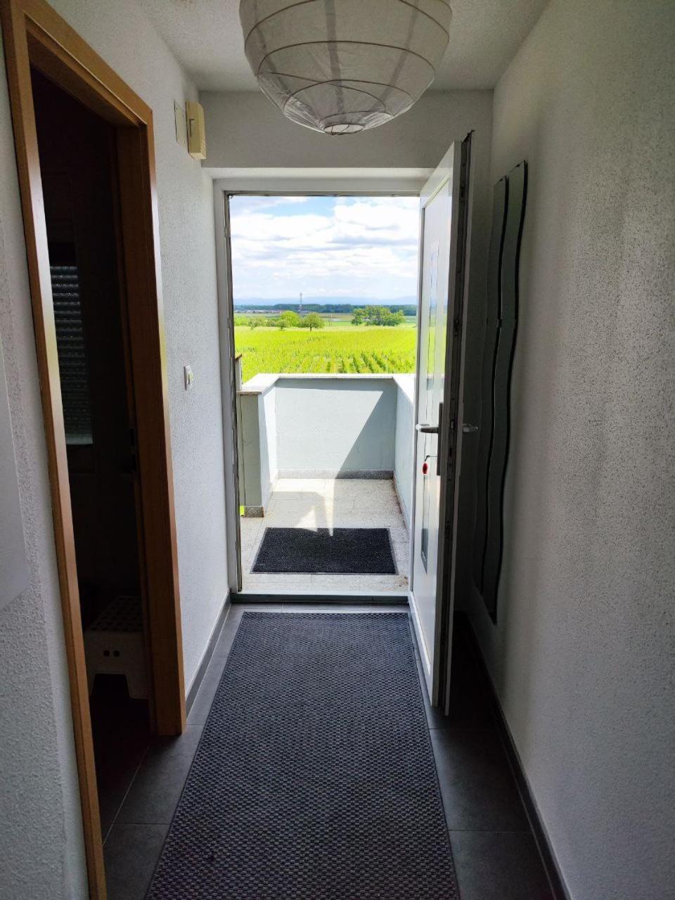 Bel Appartement En Centre Alsace Kintzheim Εξωτερικό φωτογραφία